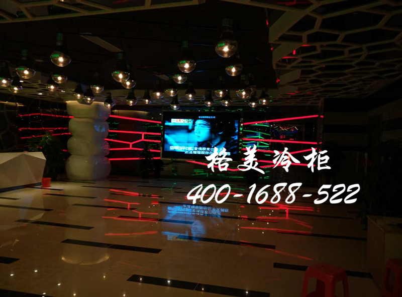 CQ9电子冷藏柜