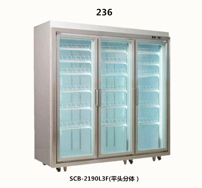 CQ9电子冷柜专业生产超市冷柜系列