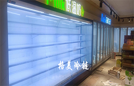 【CQ9电子冷链】广州市越秀区锦麟优选超市-冷柜工程案例
